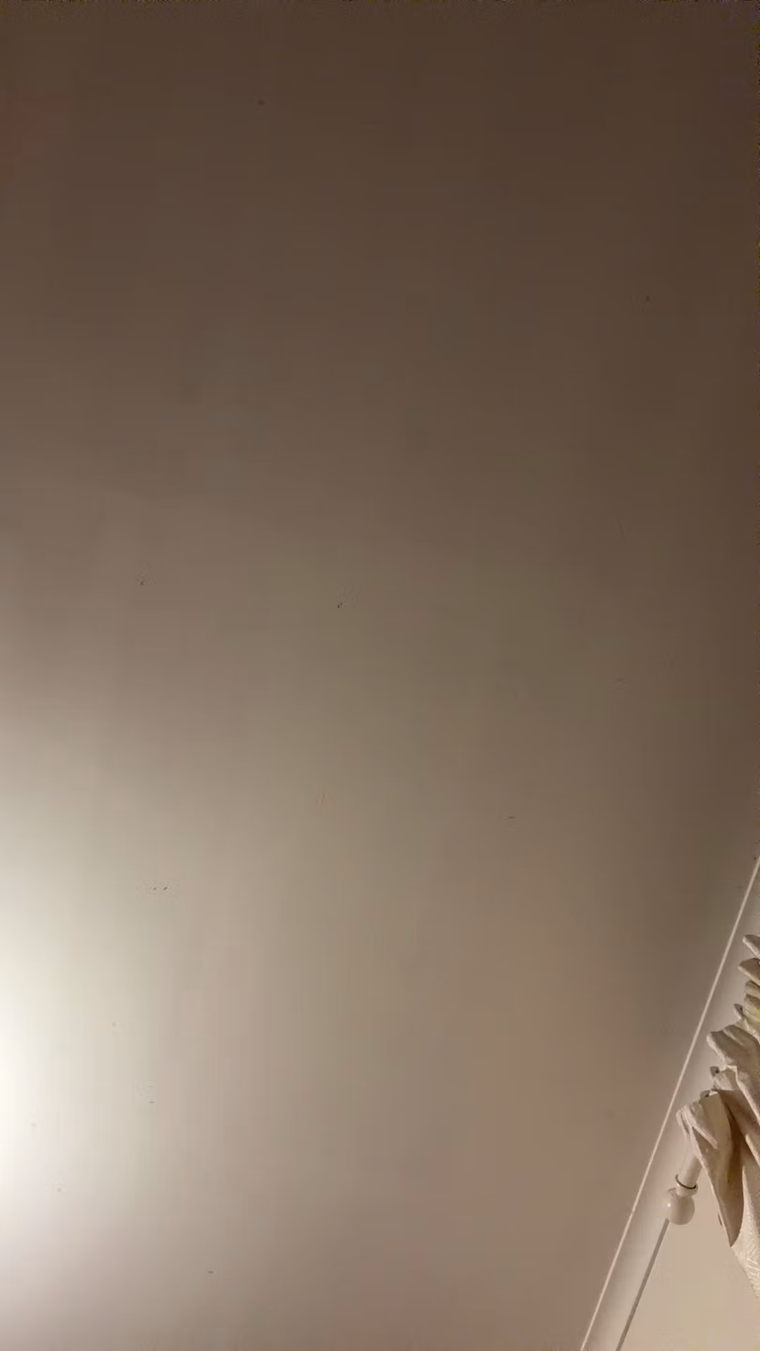 Studio-Size Ready Plant Kit