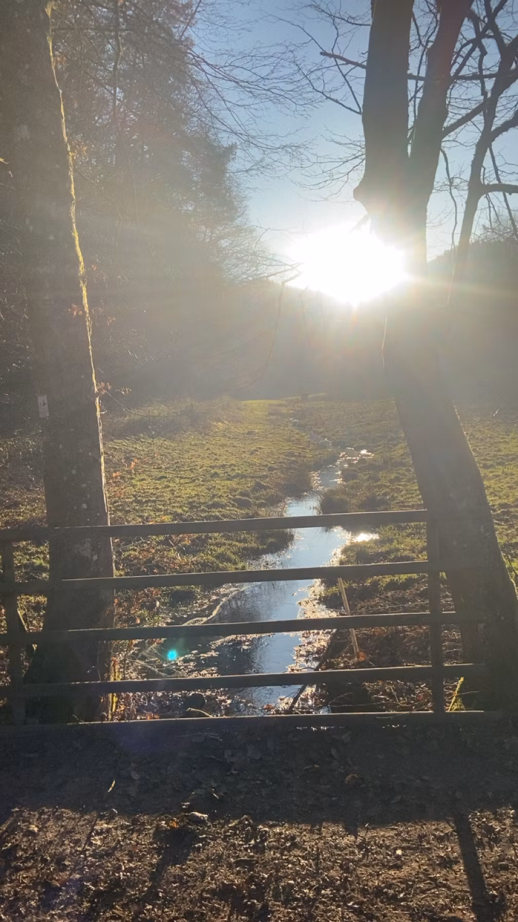 ProGamer Guild Premium