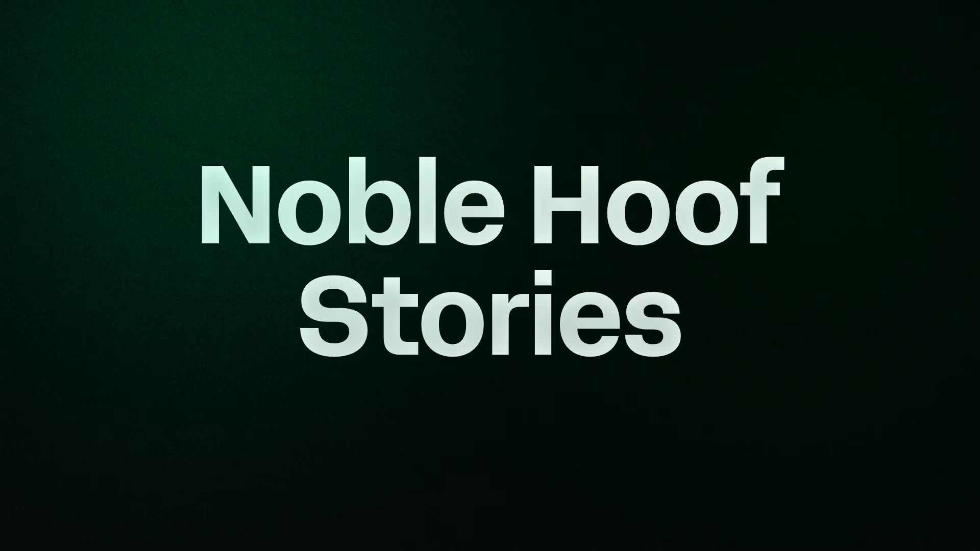 Noble Horse Rescue Stories