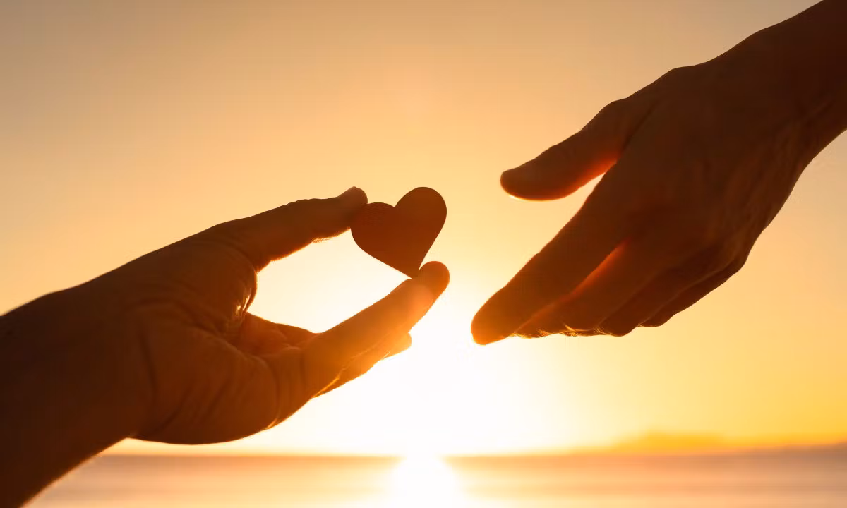 Helping Hand Courses