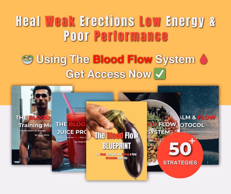 Blood Flow System 🩸 📕 