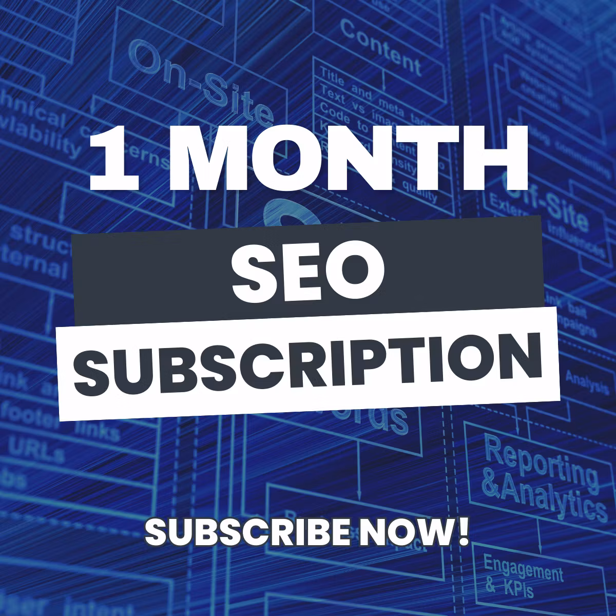 1 Month Subscription SEO