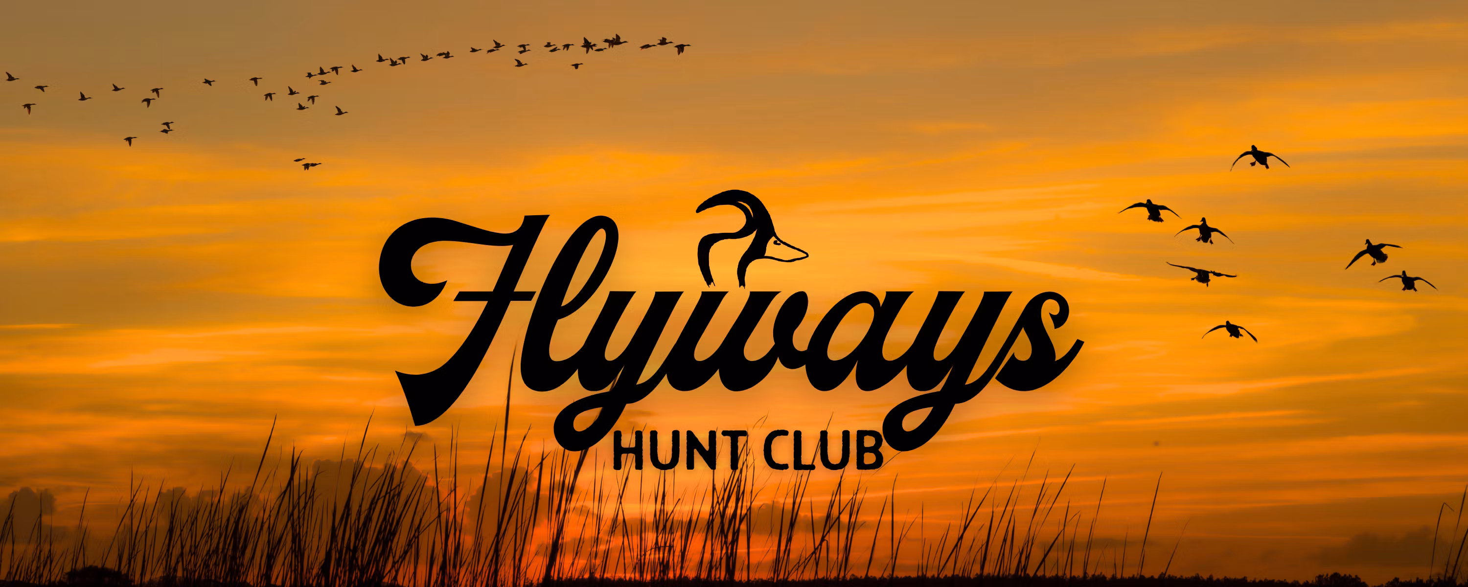 Midwest Flyways