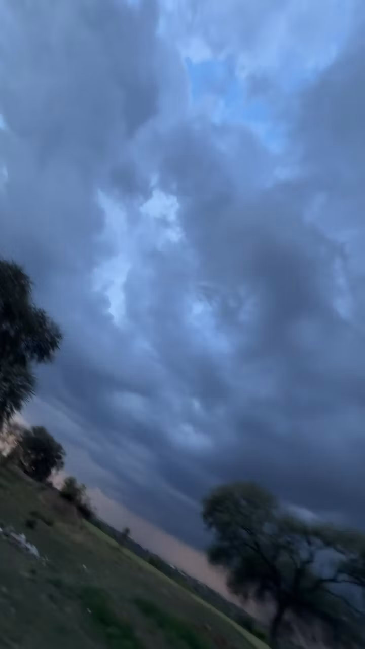 Natural Beauty: Pore Purify