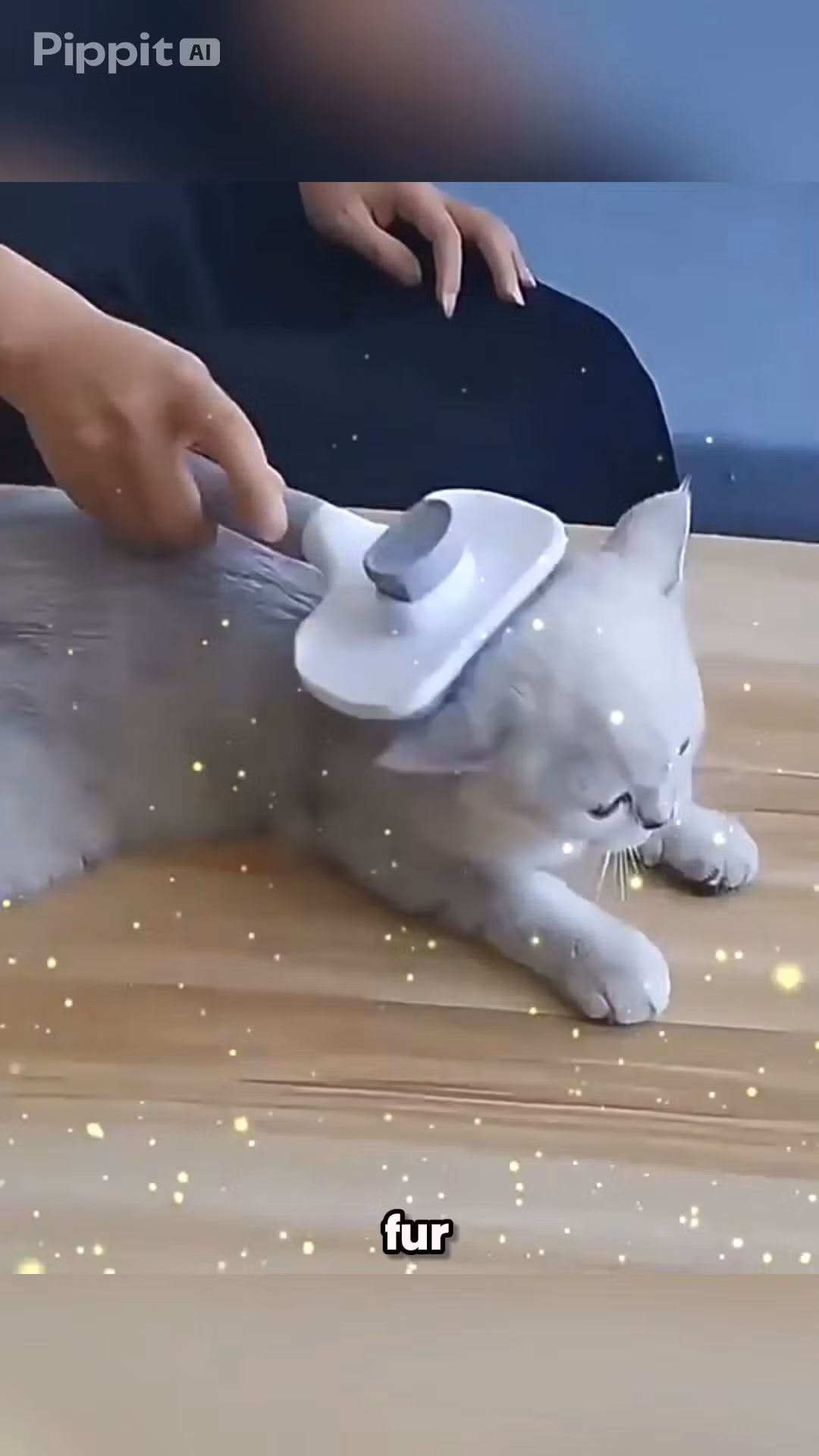 FurGone Self-Cleaning Pet Brush 