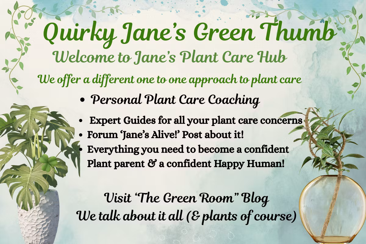 Quircky Jane's Green Thumb