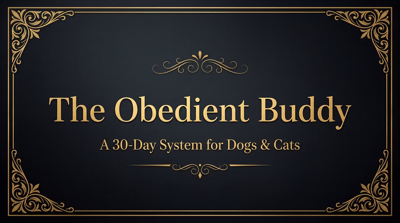 The Obedient Buddy