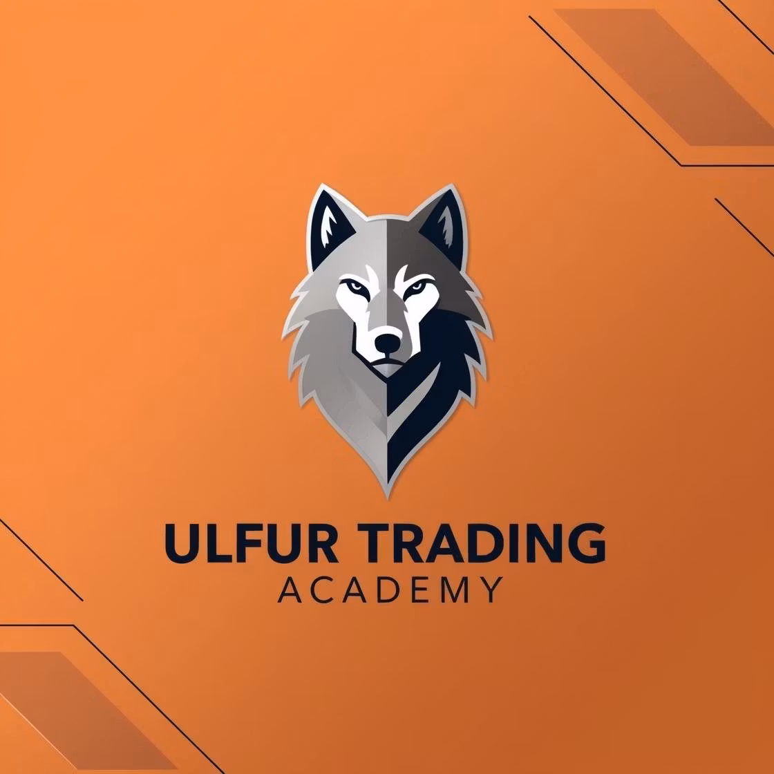 UlfurTrading academy 