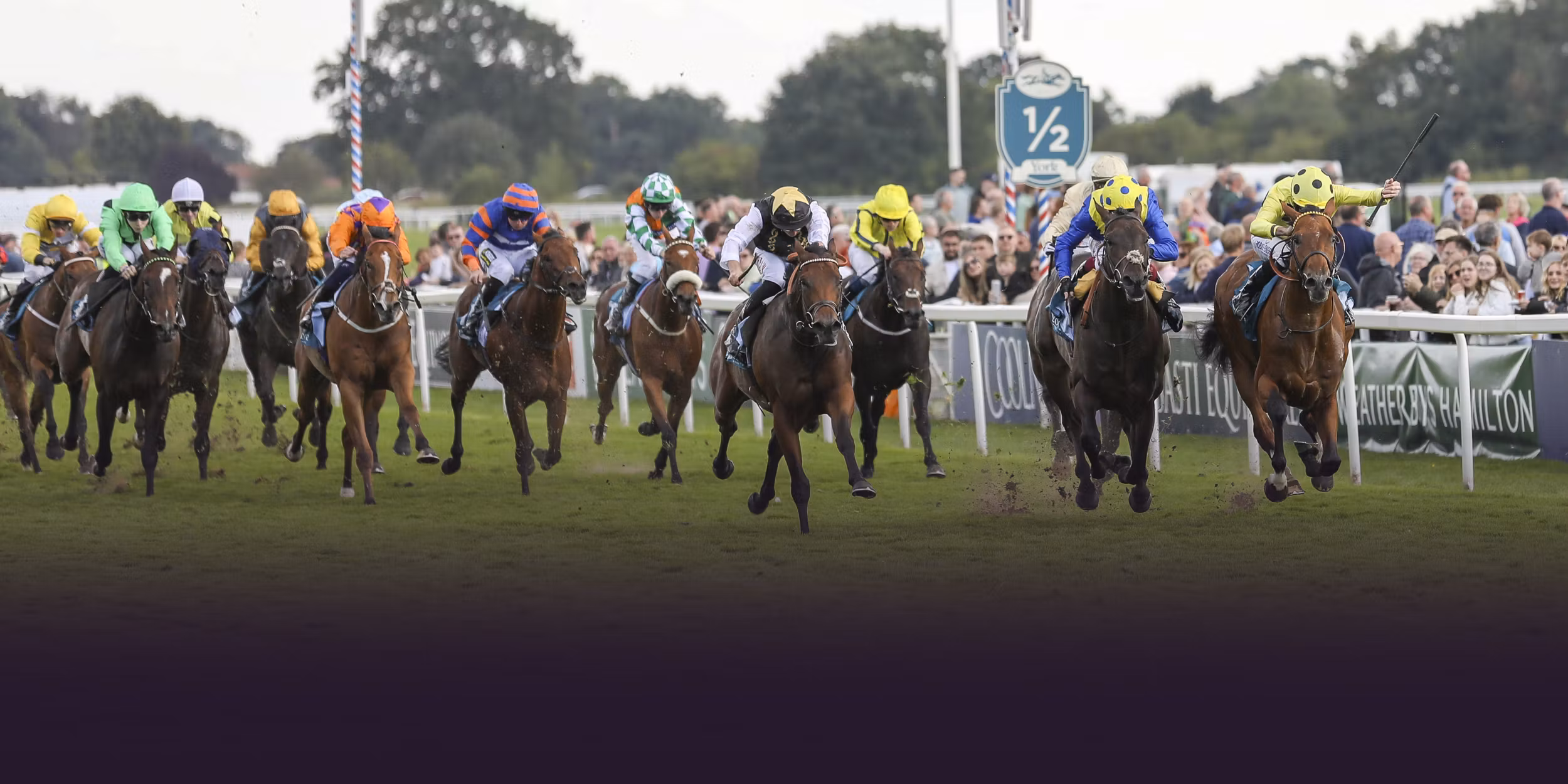 Giant 47% discount Yearly 🟡VIP Plan Membership