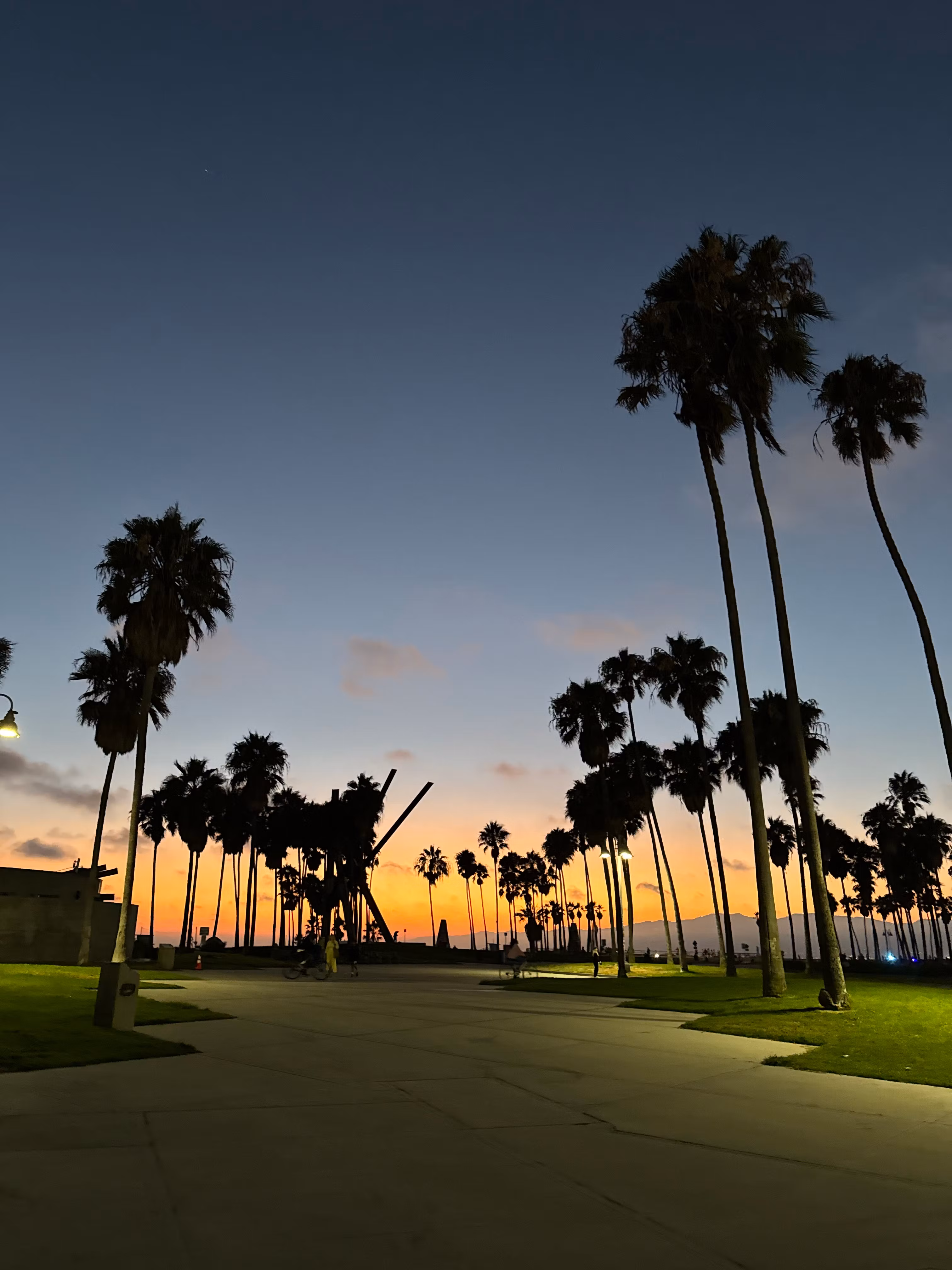 PaidinFull VIP Program