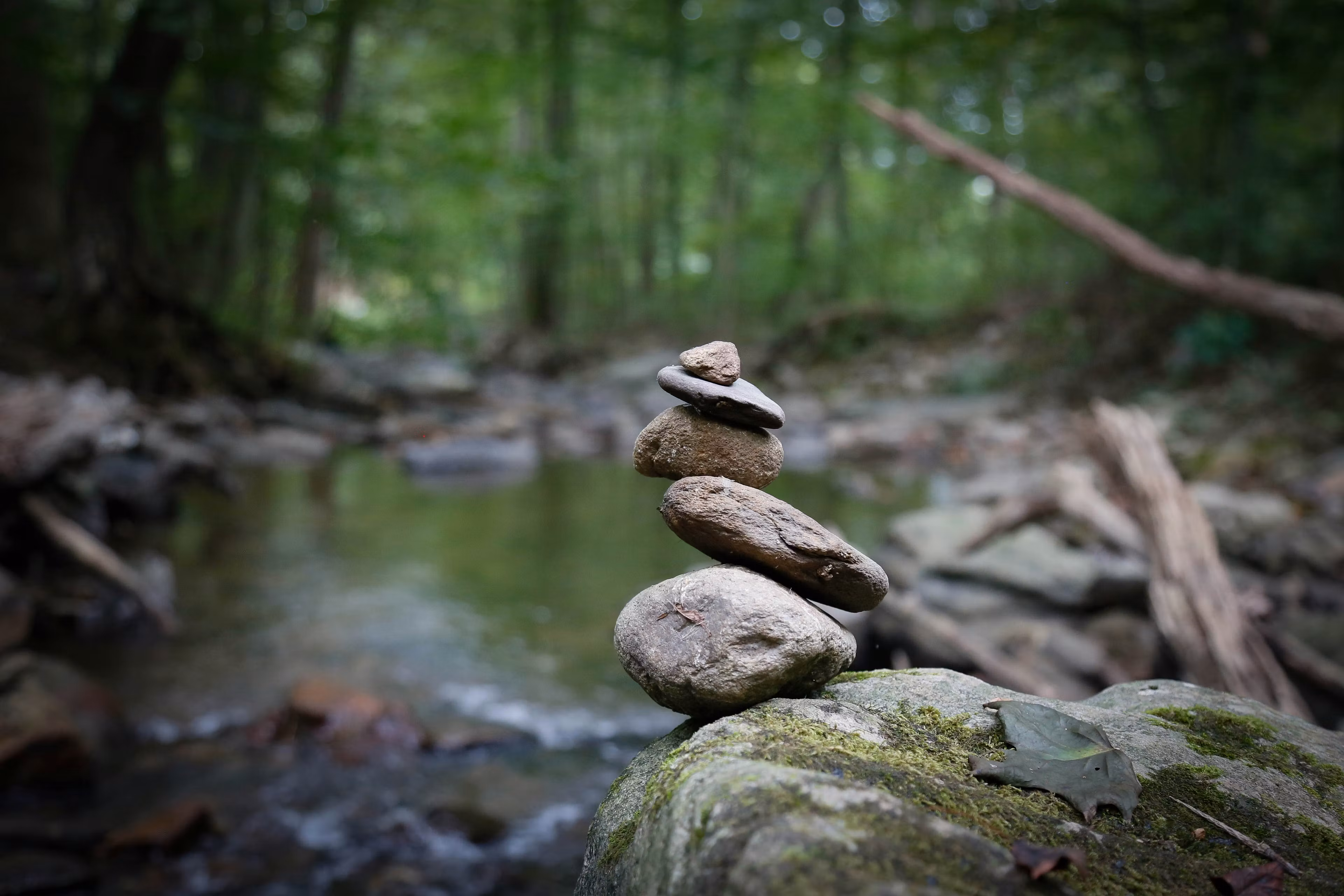 Equilibrio y Belleza 