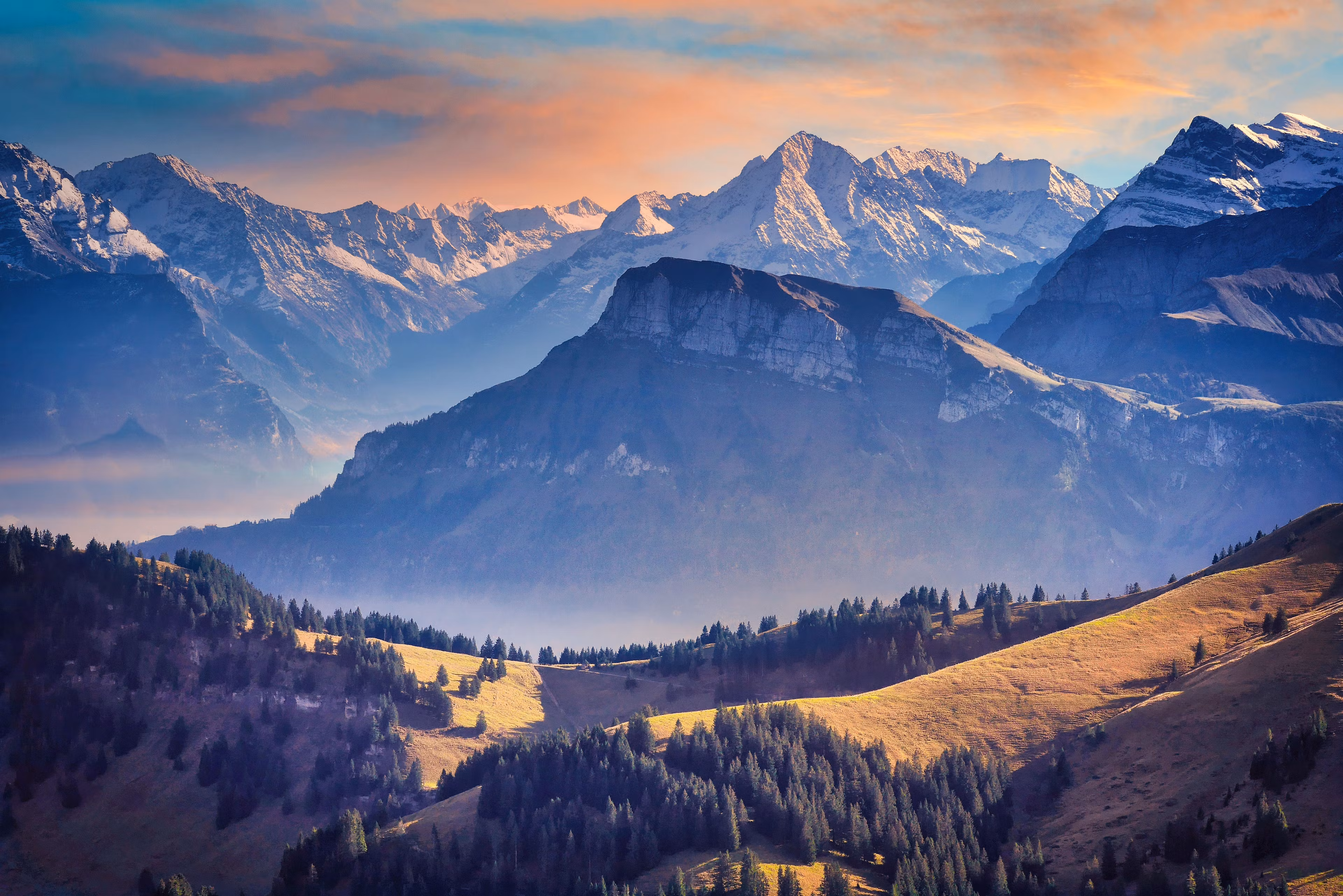 WildKeepers Fitness League