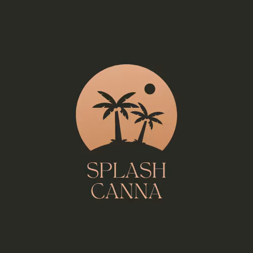 splash canna