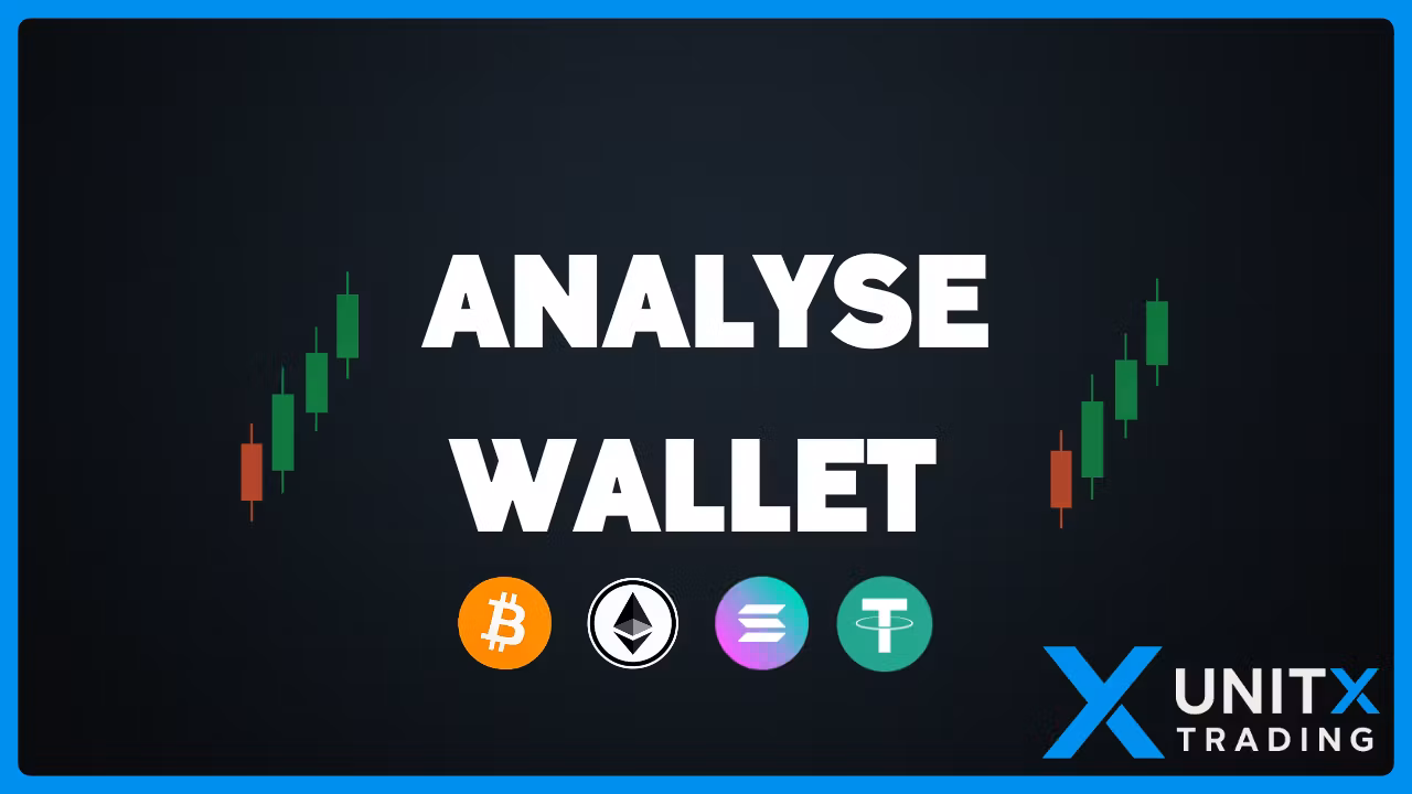 Analyse de wallet crypto