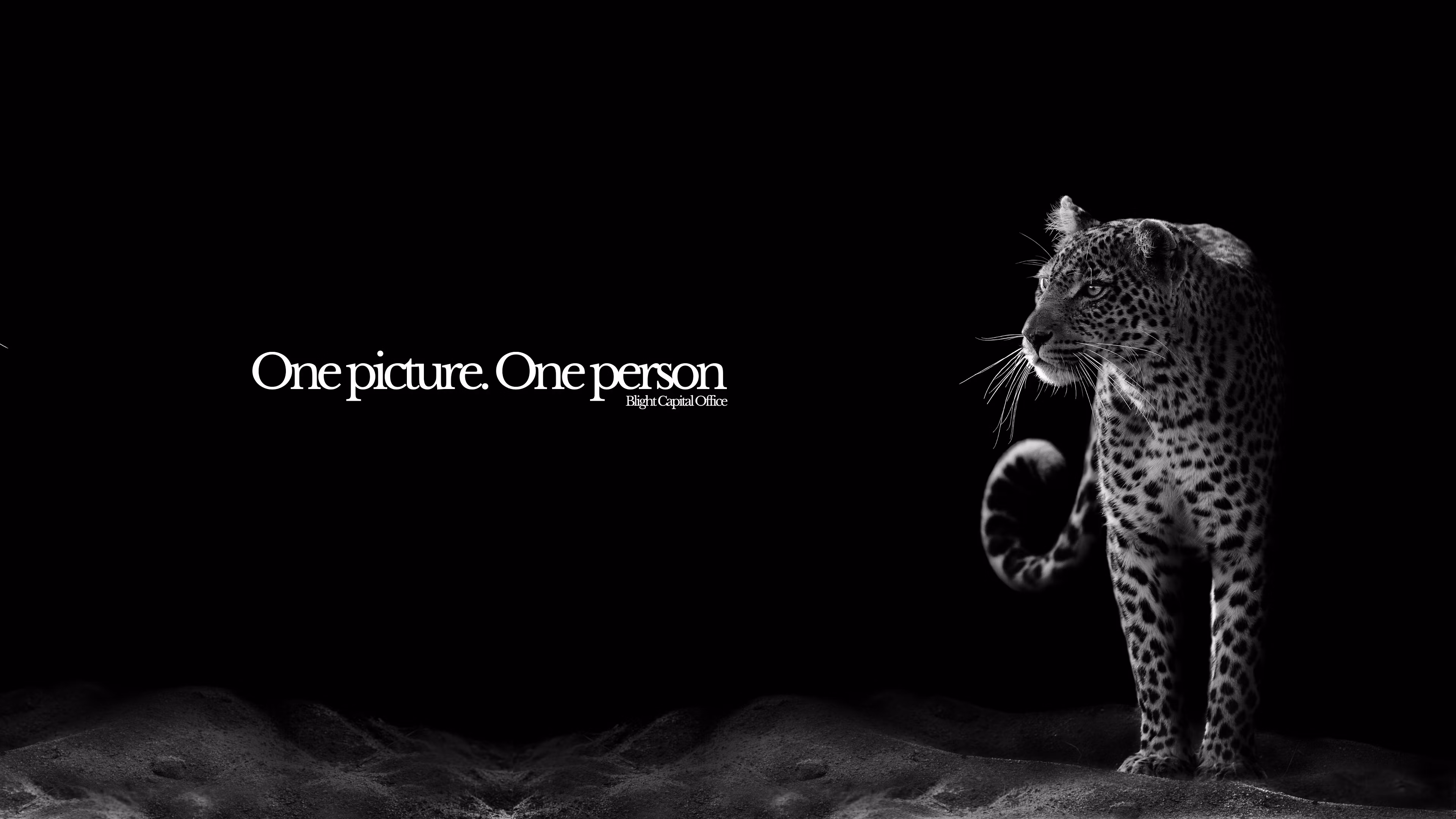 Blight Capital Office