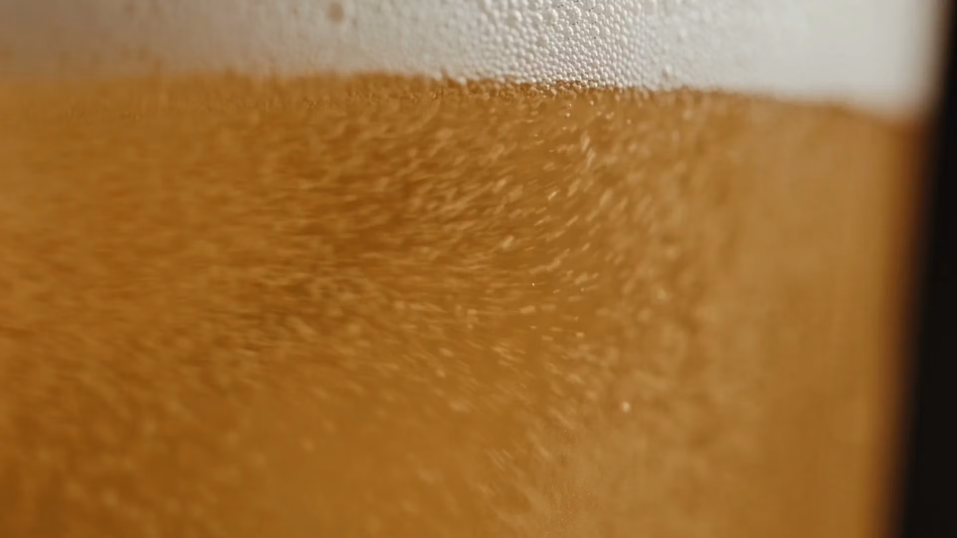 Beer Money Discord Access