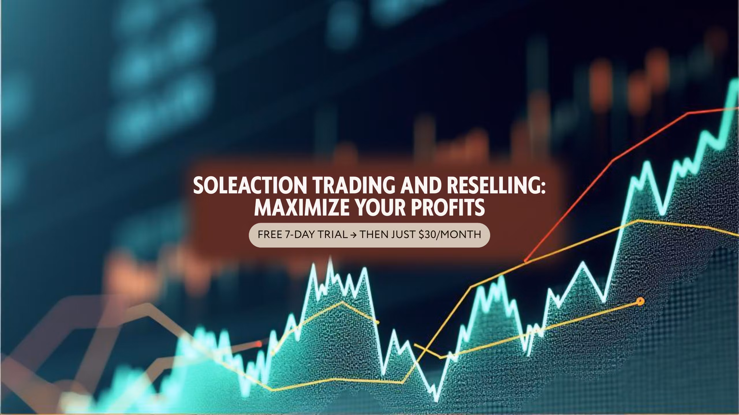 SoleAction Trading & Reselling
