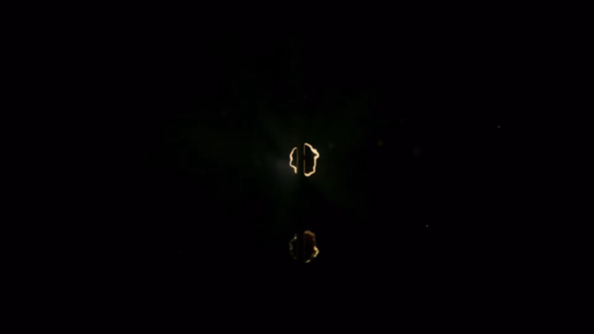 Only The Finest Paid