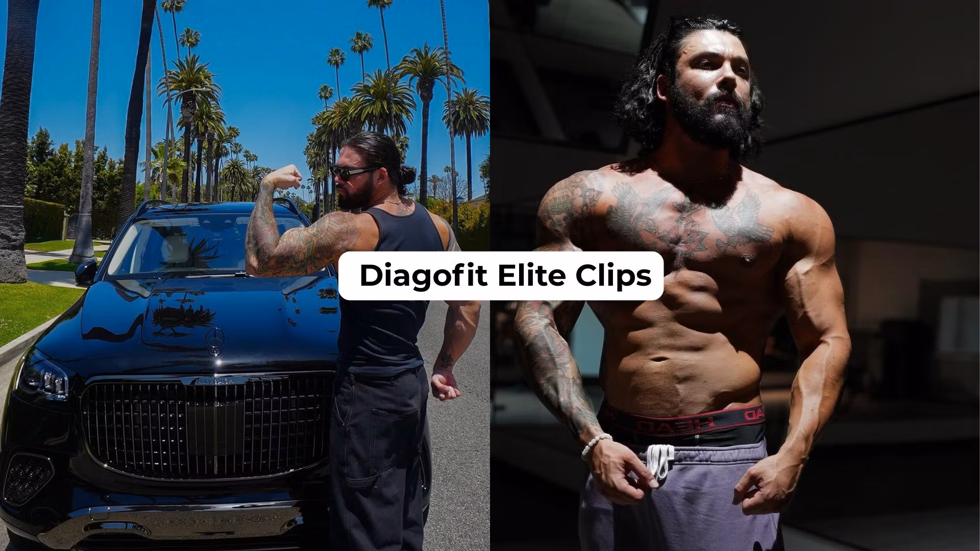 Diagofit Elite Clips