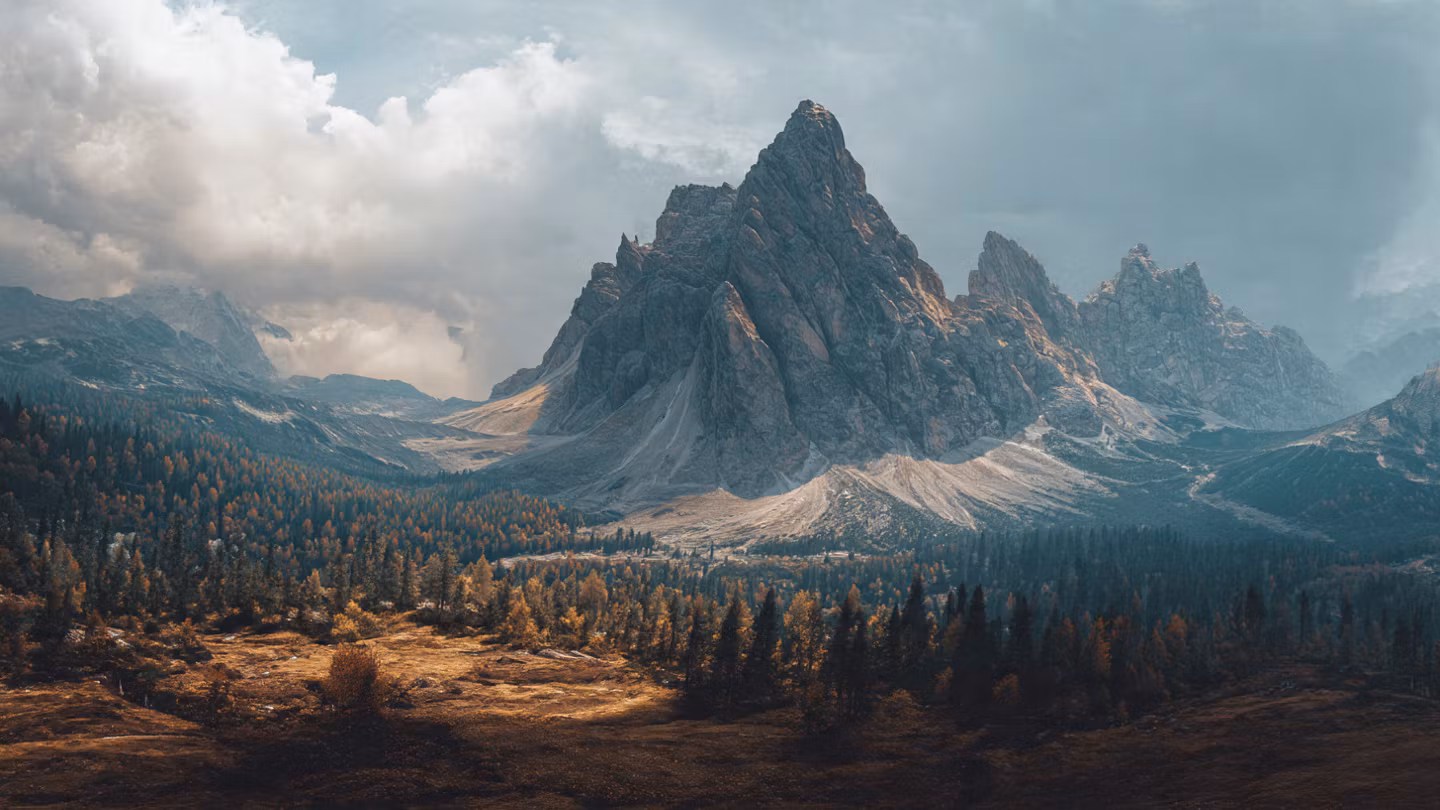 Men's Vitality Suite