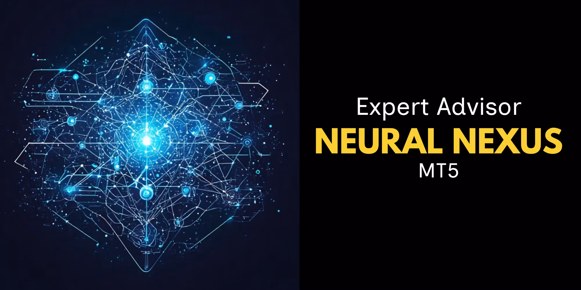 Neural Nexus