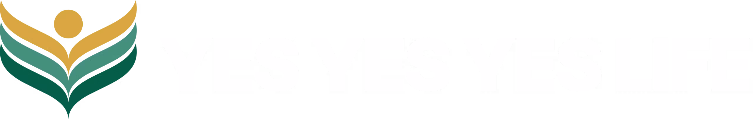 Yes Yes Yes Life University