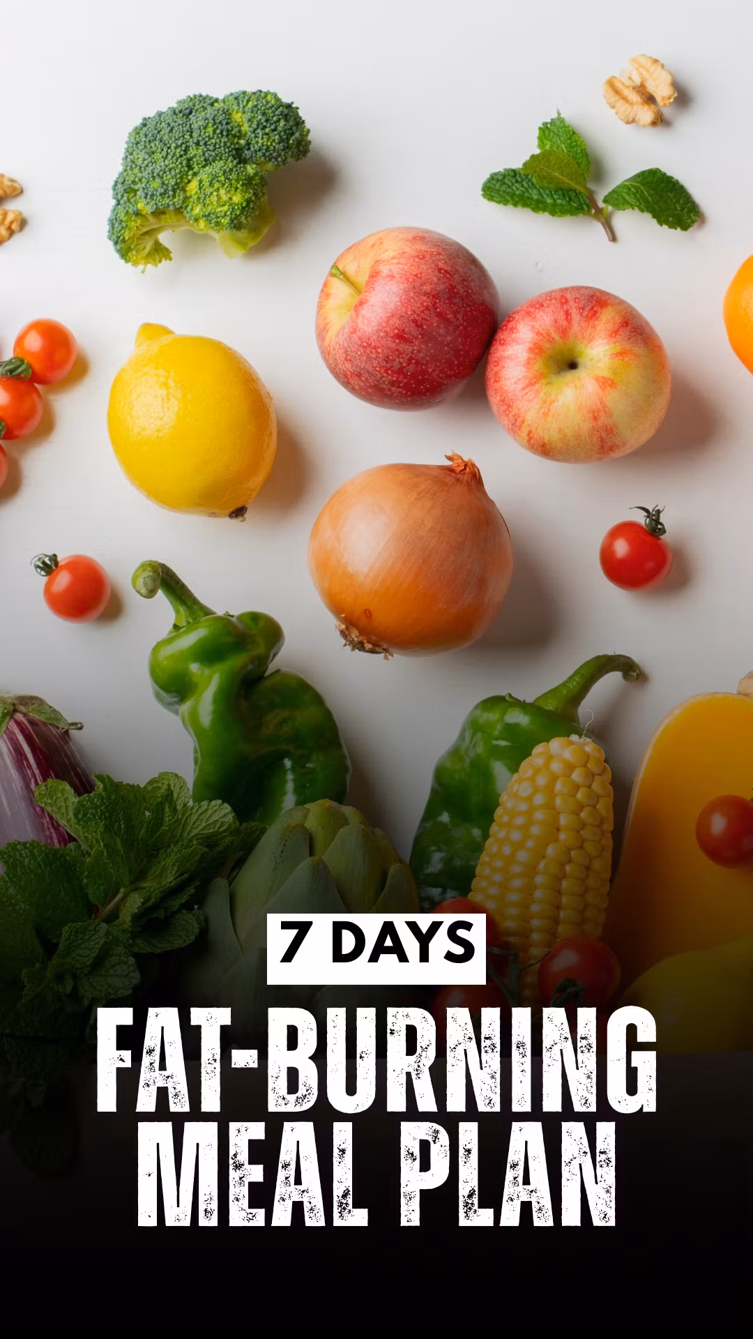 FitNut Lifestyle Academy