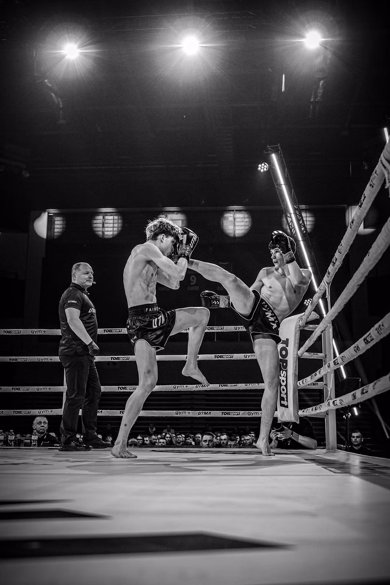 THE FEARLESS FIGHTER