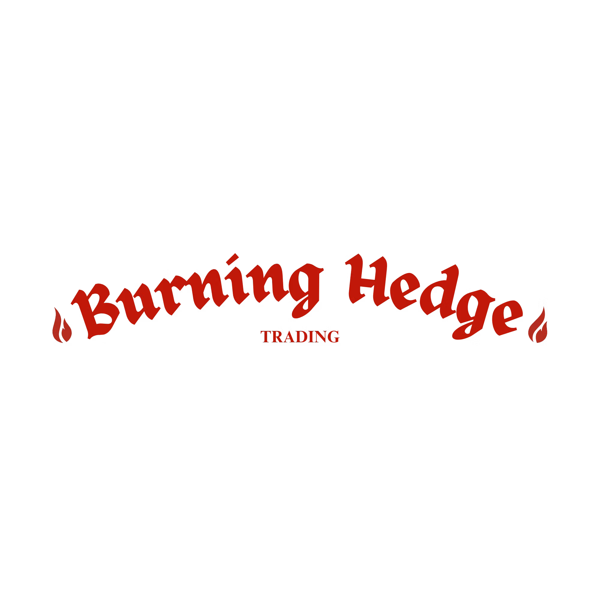 BURNING HEDGE LLC