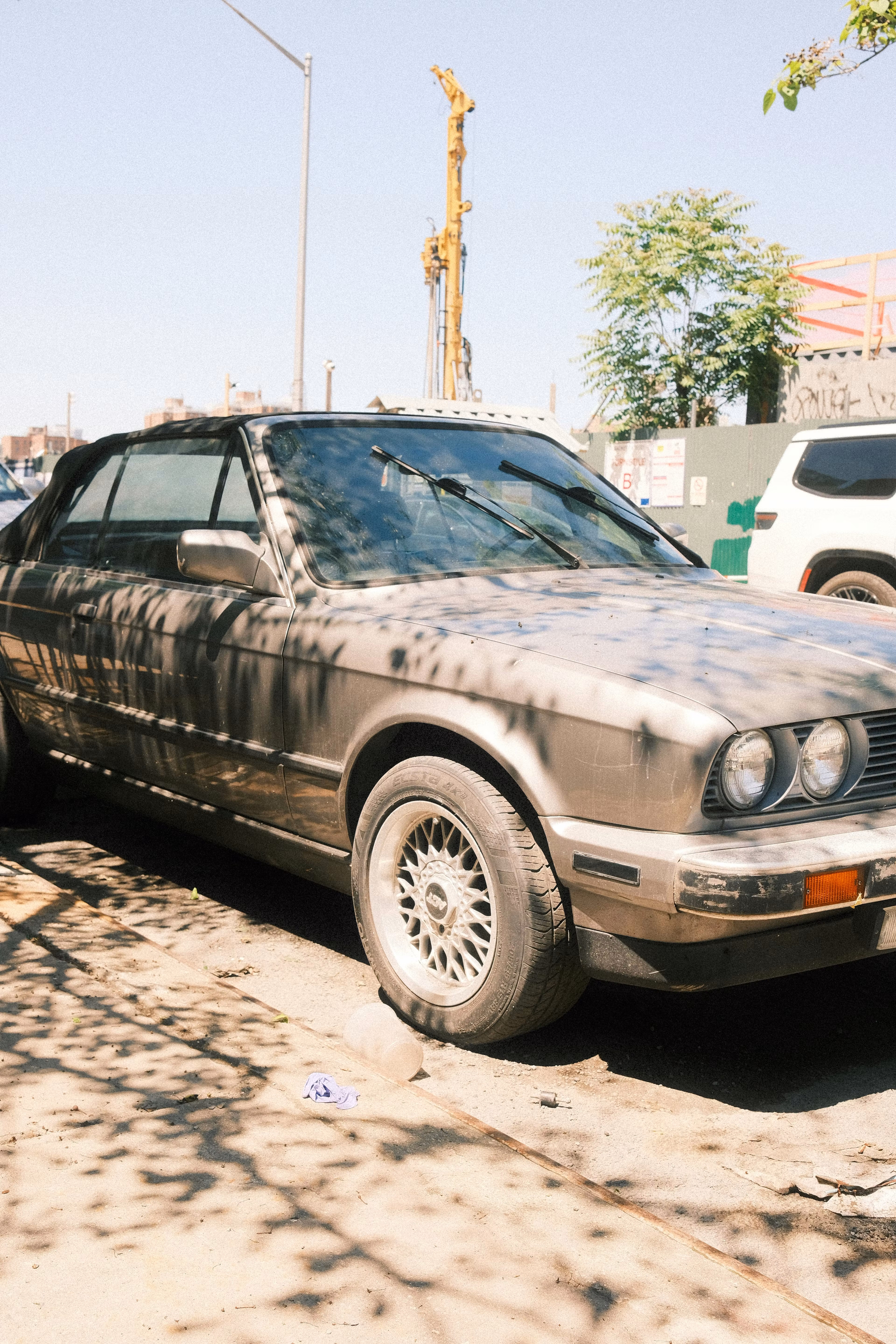 Pick of the Day - Fish Scale🦈