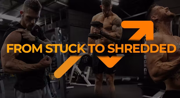 Physique Transformation Guide