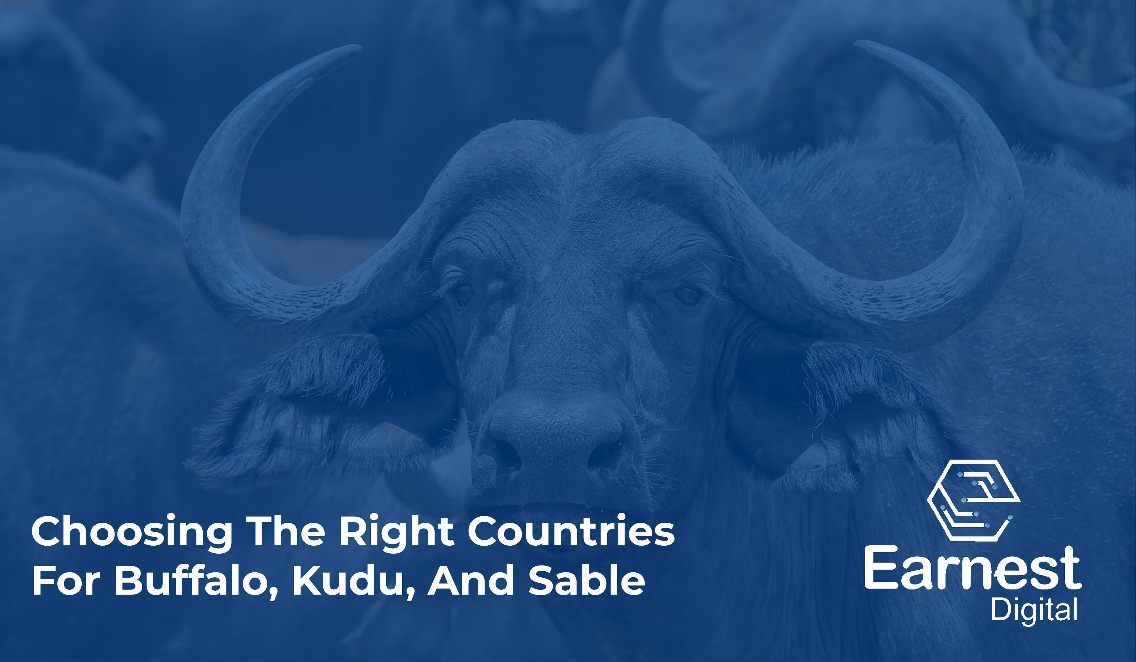 Fast-Track Trophy Exports