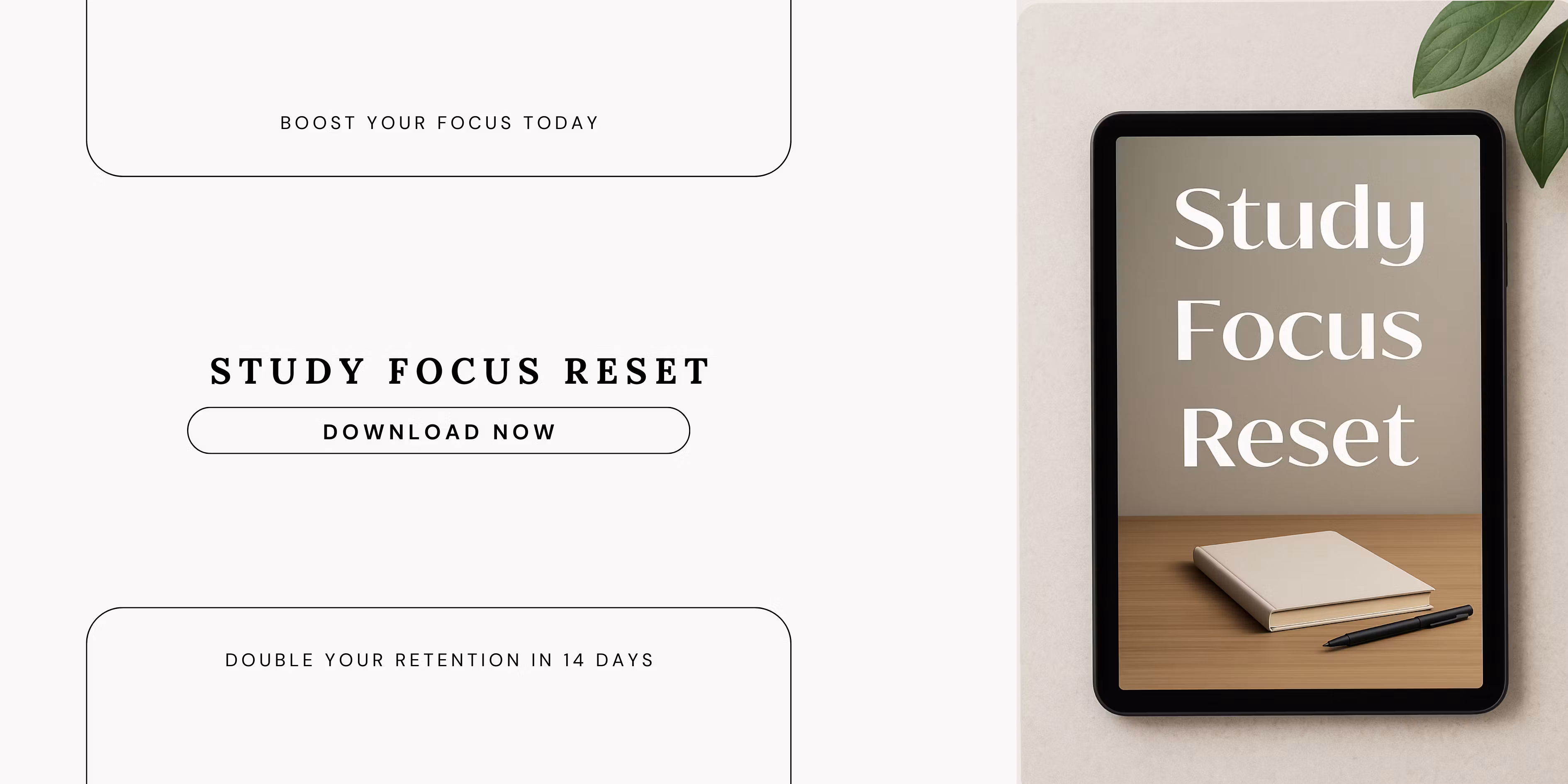 Study Focus Reset
