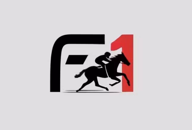 1 on 1 Mentoring + F1 ACCESS 