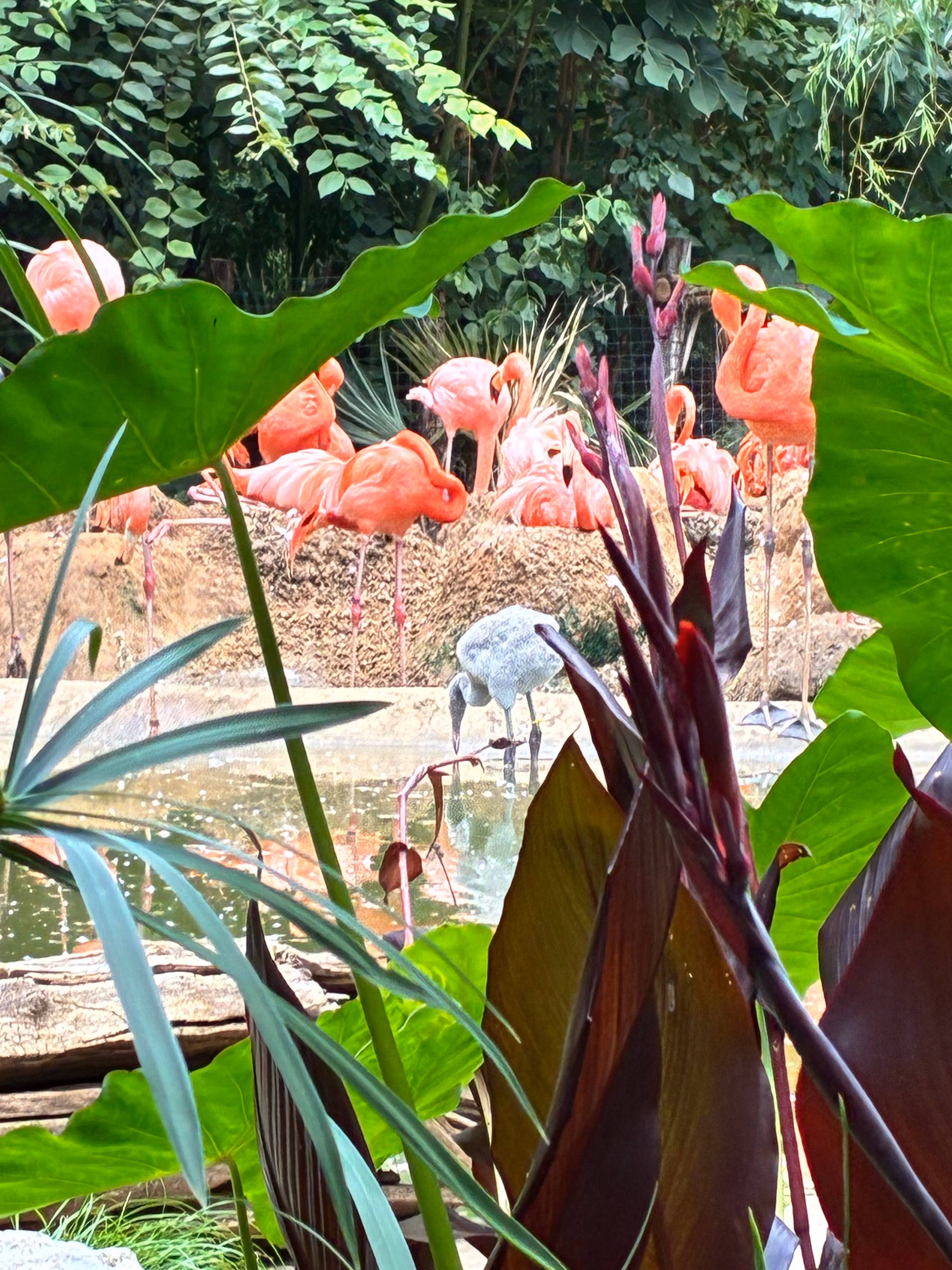 The Single Mom's Sanctuary