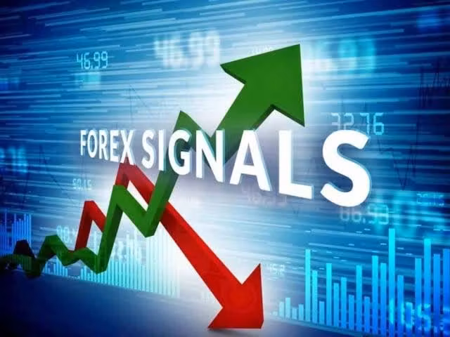 DAILY FOREX TRADING SIGNALS