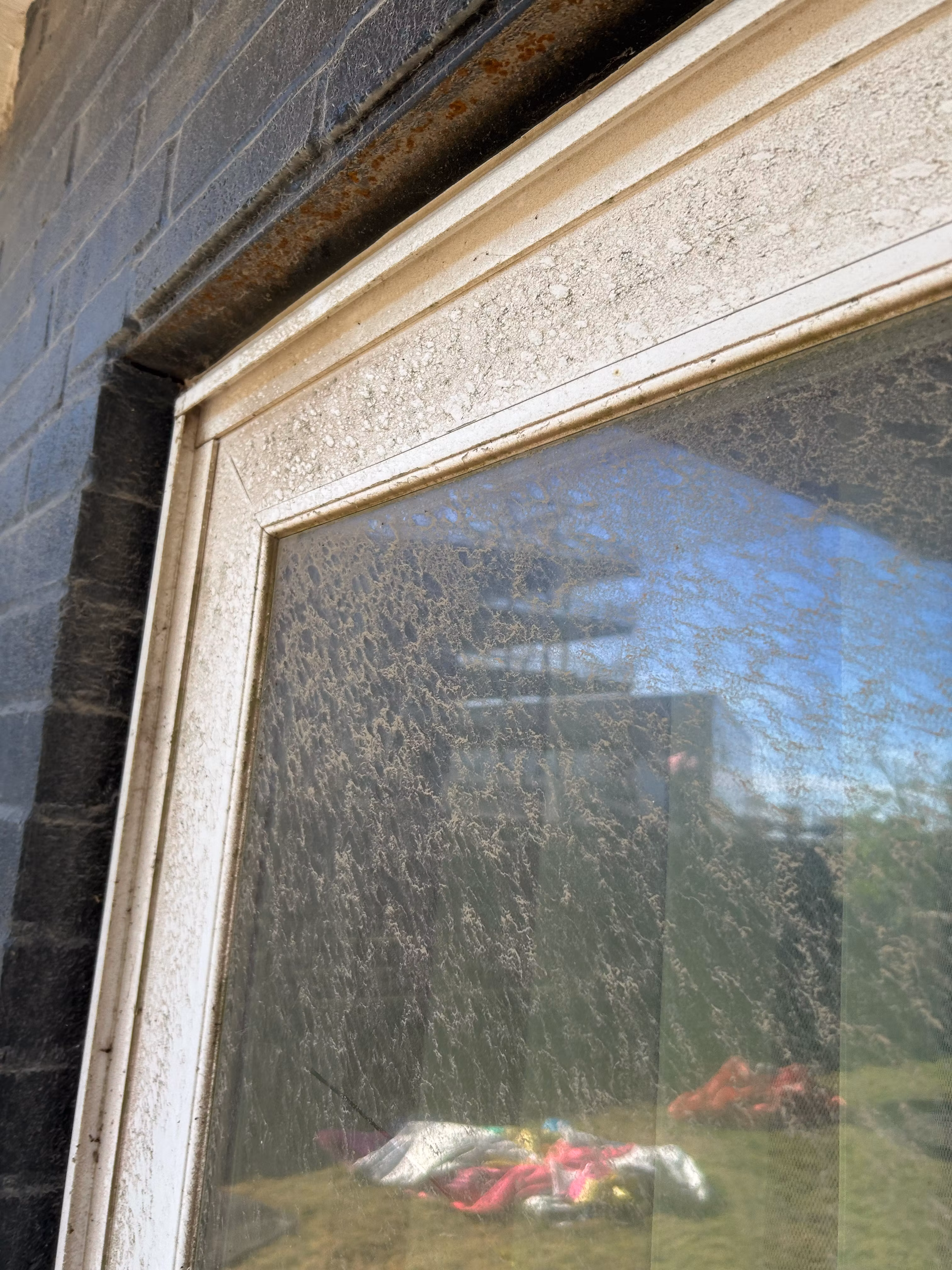 Aaron window cleaning 