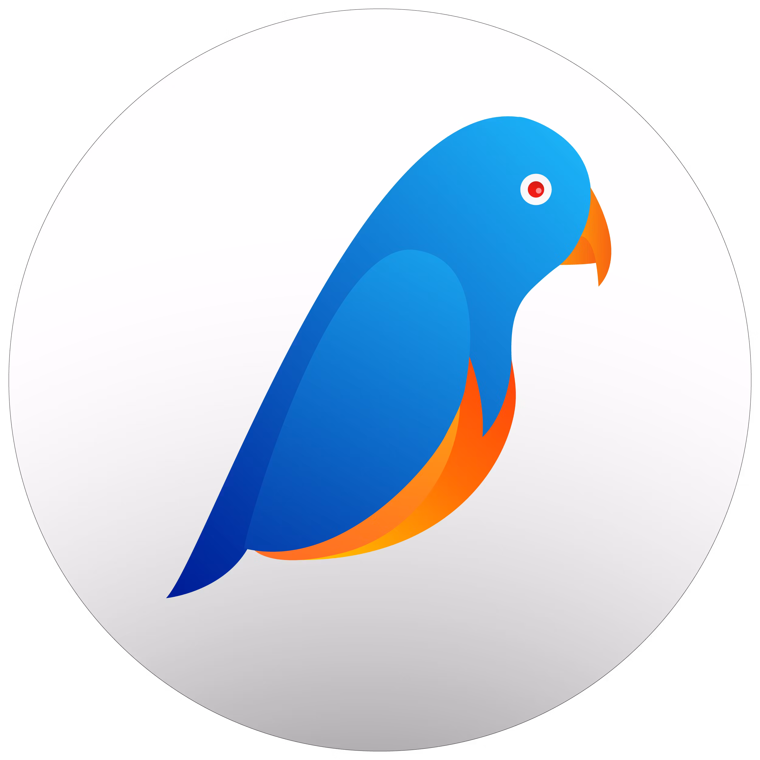 Parakeet IO 6 bimonth