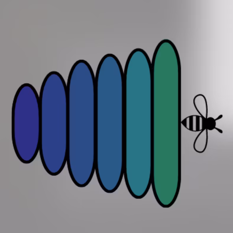 Hive Scale Essentials