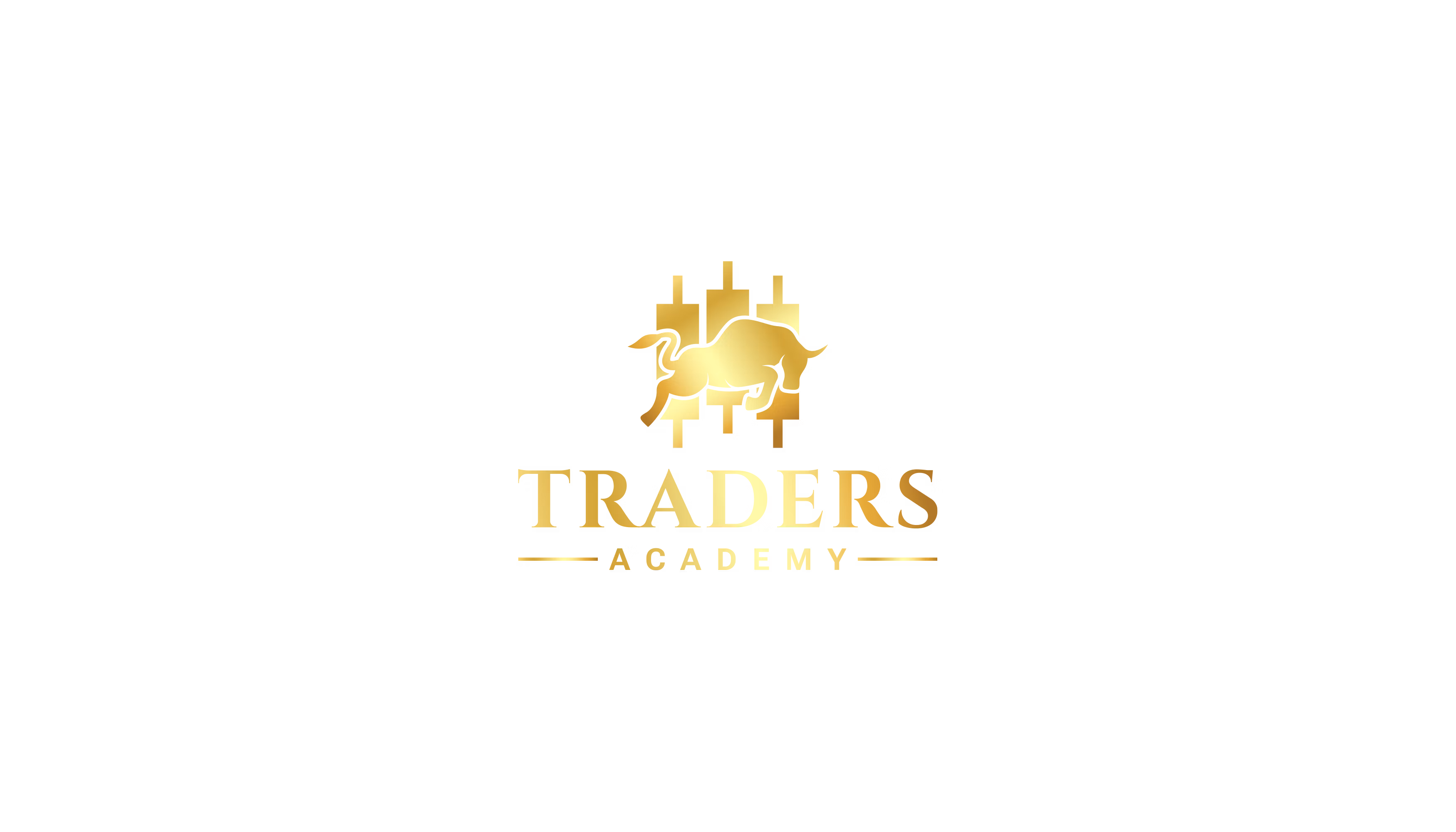 Traders Academy VIP