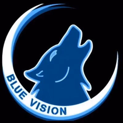 Blue Vision FX Mentorship