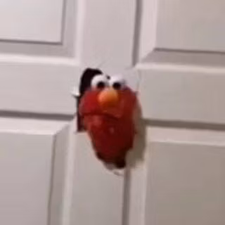 Elmo Store Stickers