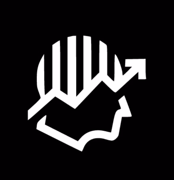 BlackFX Mentorship