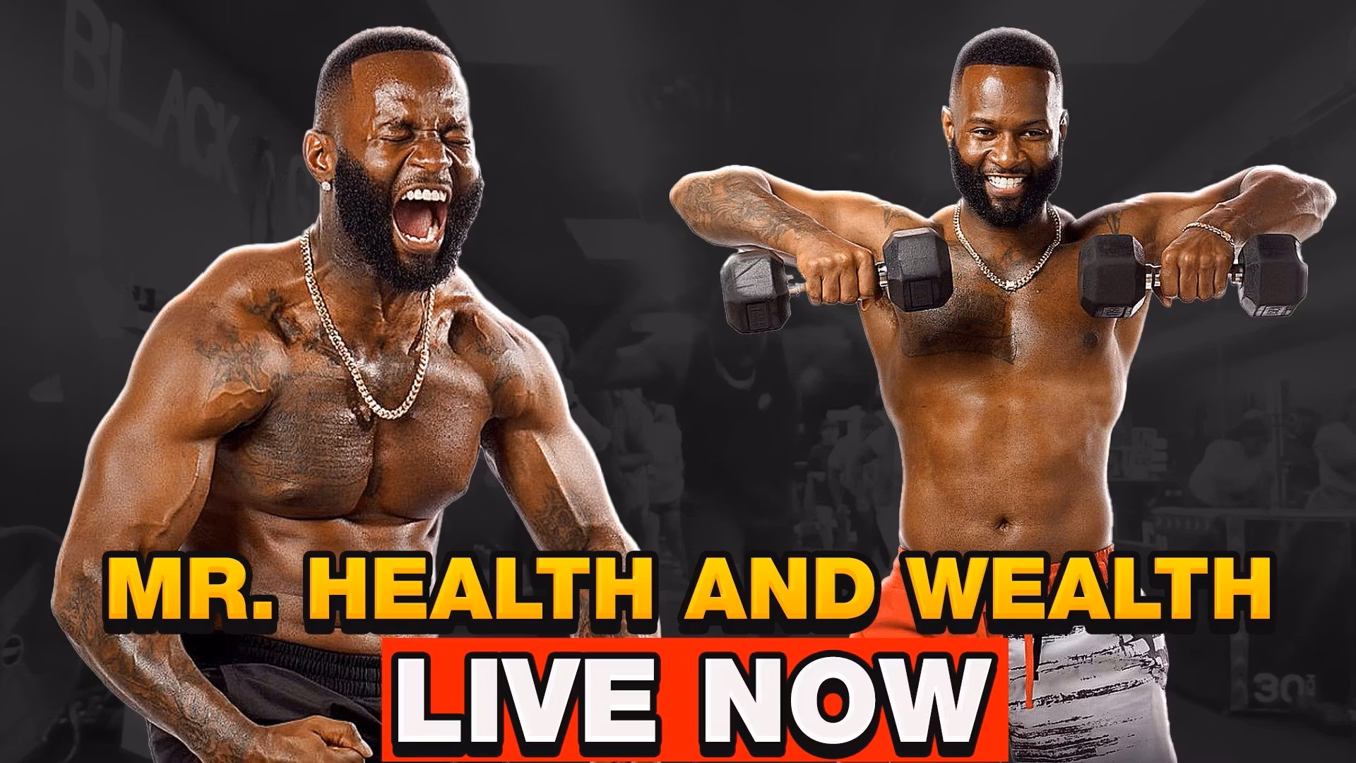Mr Health & Wealth Training