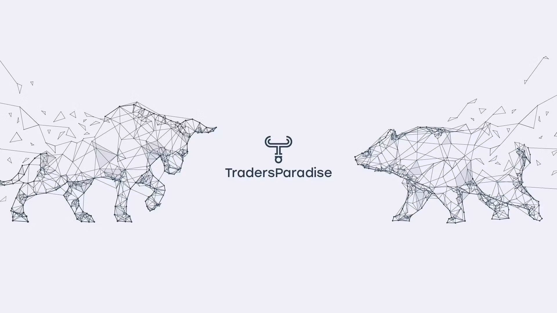 Traders Paradise Premium