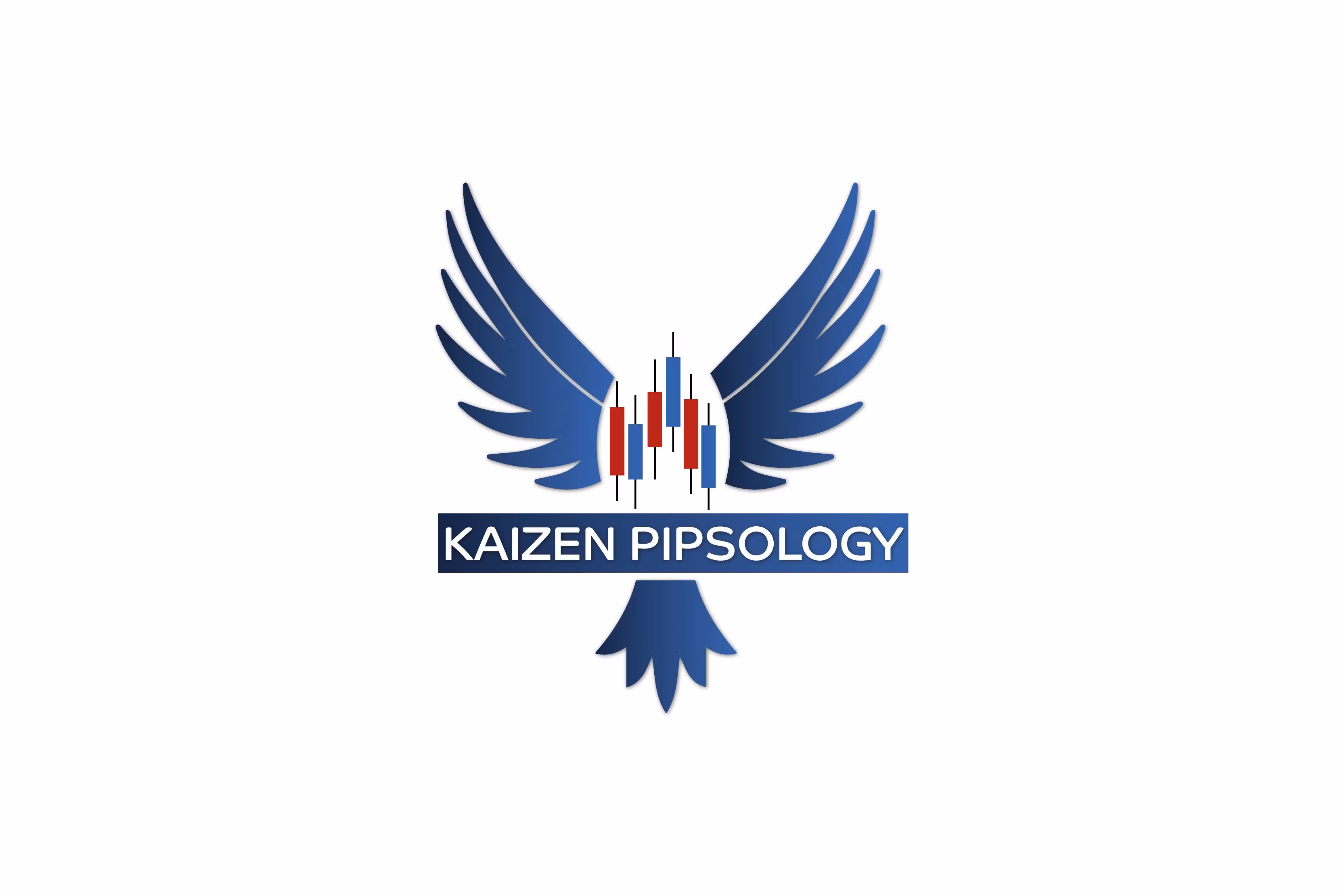 Kaizen Online Mentoring
