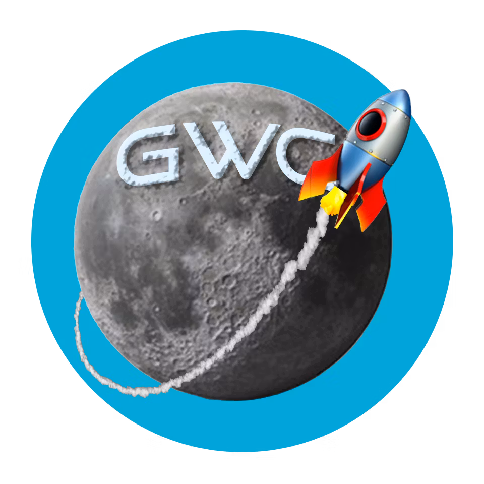 Global Wealth Mentorship