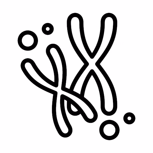 CROMOSOMA