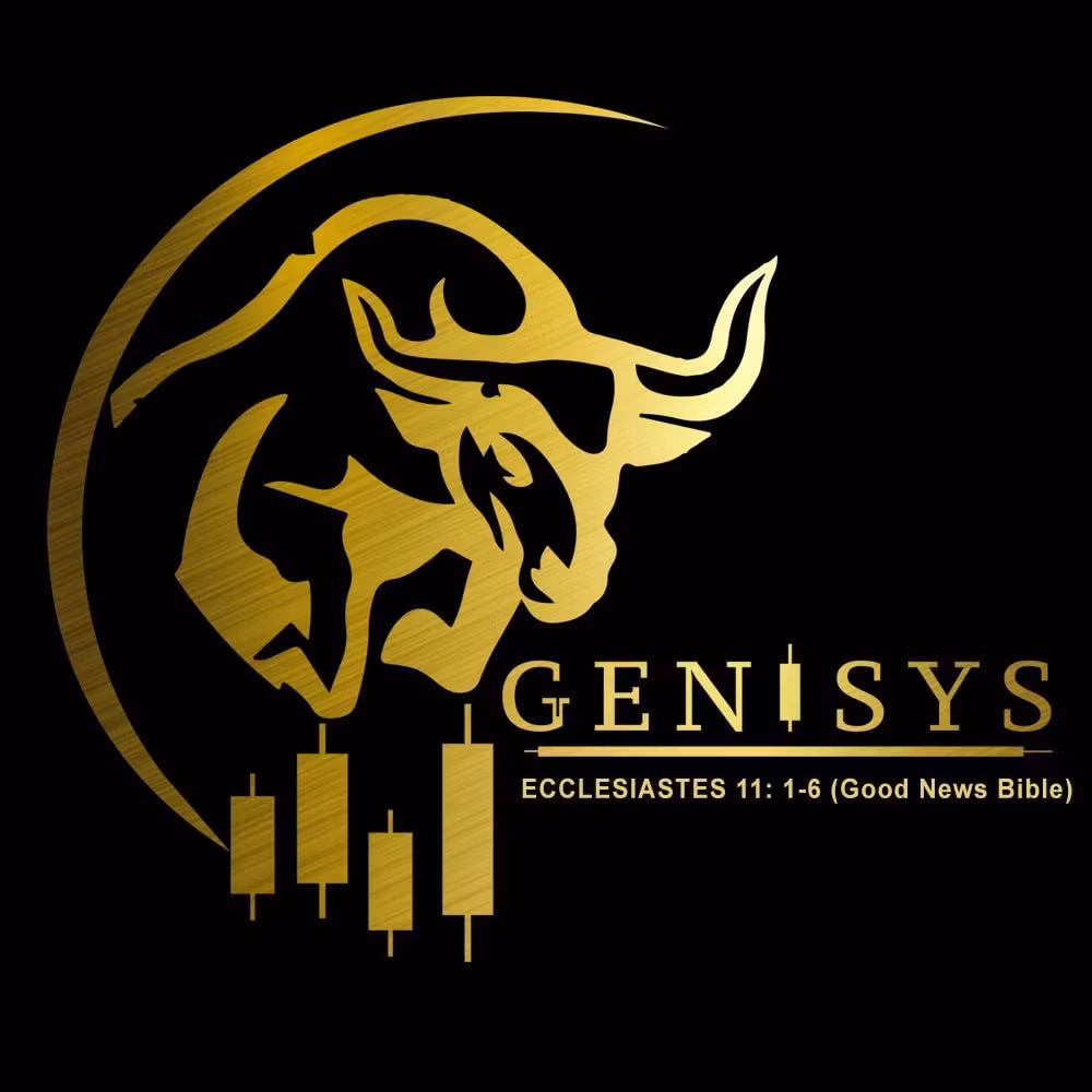 Genisys VIP Mentorship Plan