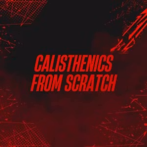 Calisthenics From Scratch
